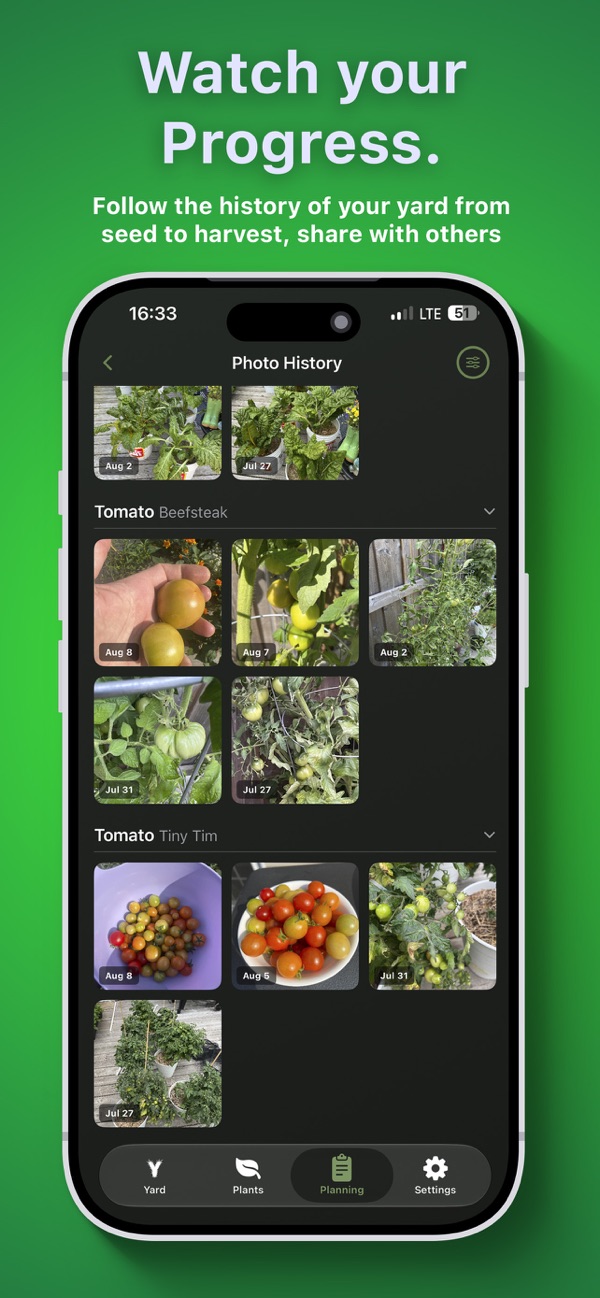 Photo History showing tomato plant progress over the season