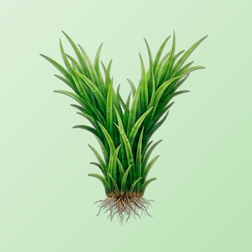 YardStick app icon